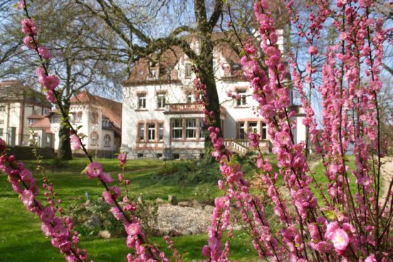 Gutshof Stahmeln, Malkurs Leipzig