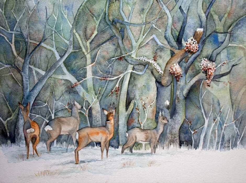 Rehe im Winterwald (c) Aquarell von Frank Koebsch