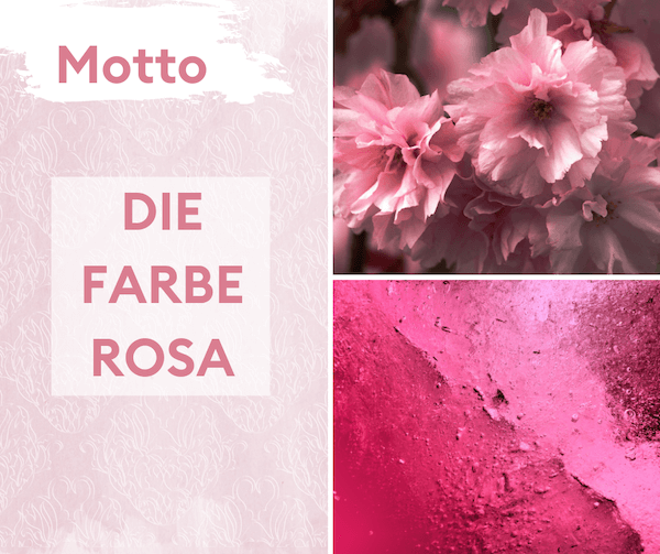 Motto Farbe Rosa_tiny