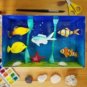 kolibri_kinderkurs_aquariumbox