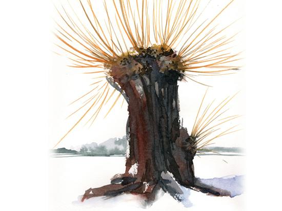 2022-1-30_ClaudiaJung